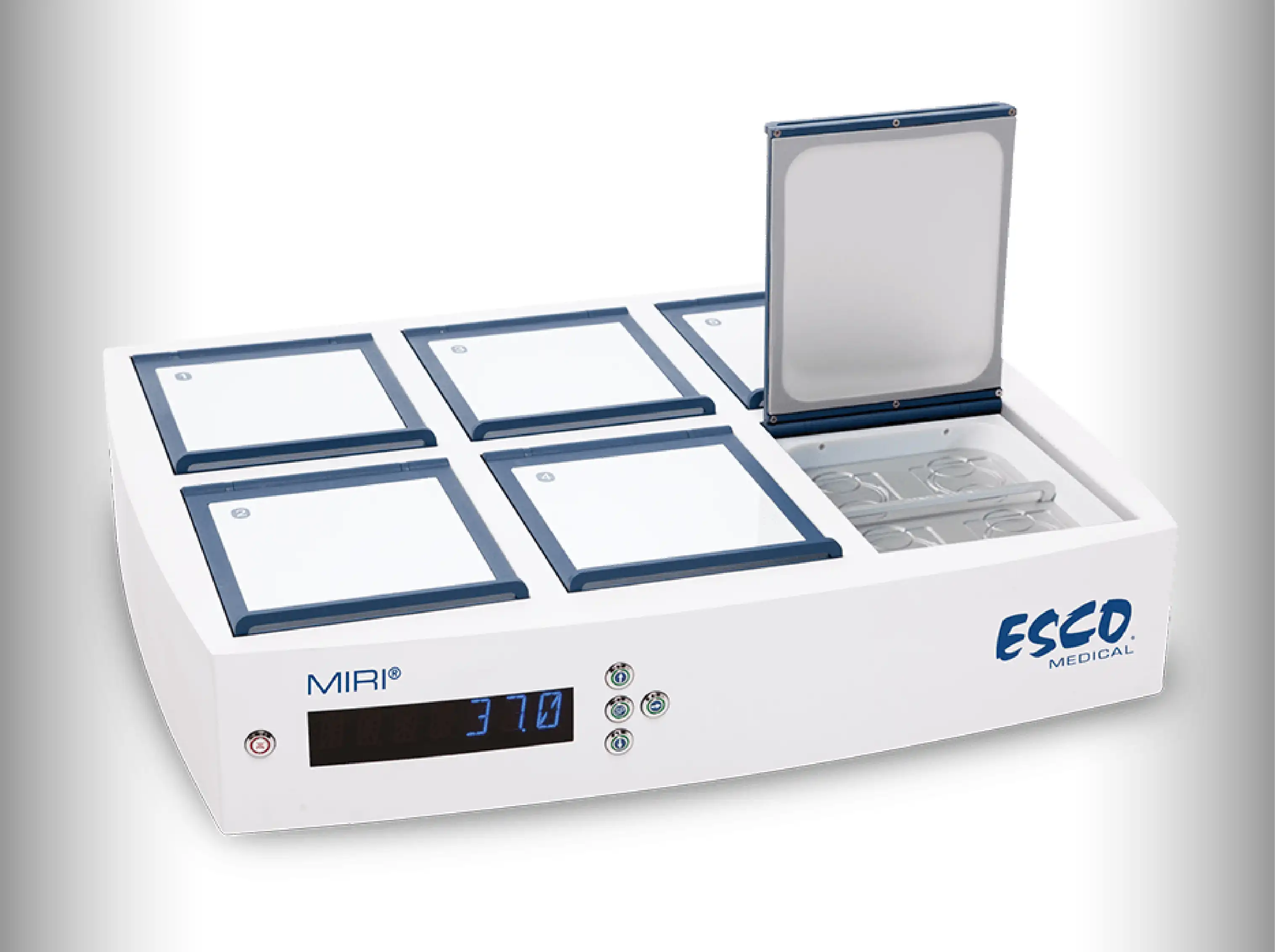 In Vitro Fertilization (IVF) | Jordan